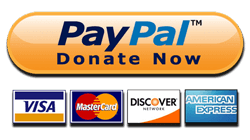 Donate button